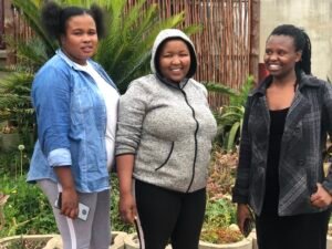 Donec iaculis gravida nulla