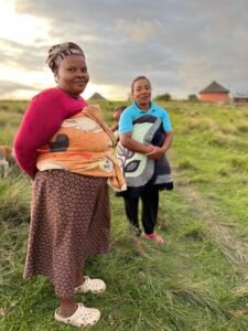 Etiam bibendum elit eget erat